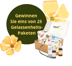 Gewinn Bundle